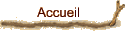 Accueil